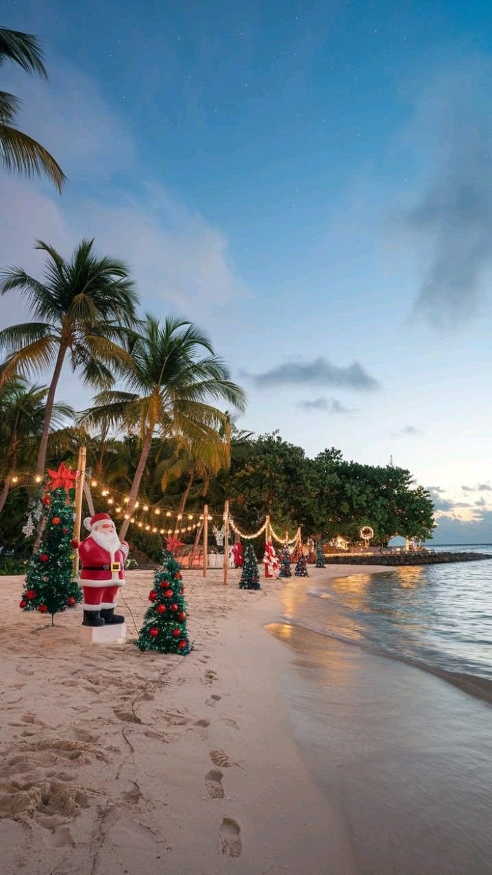 Promo Hot Sale Punta Cana Navidad desde Bs. As.