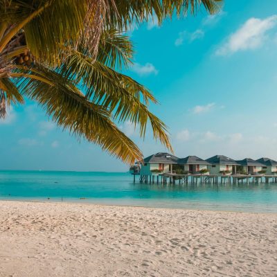 pexels-mo-eid-1268975-6356303